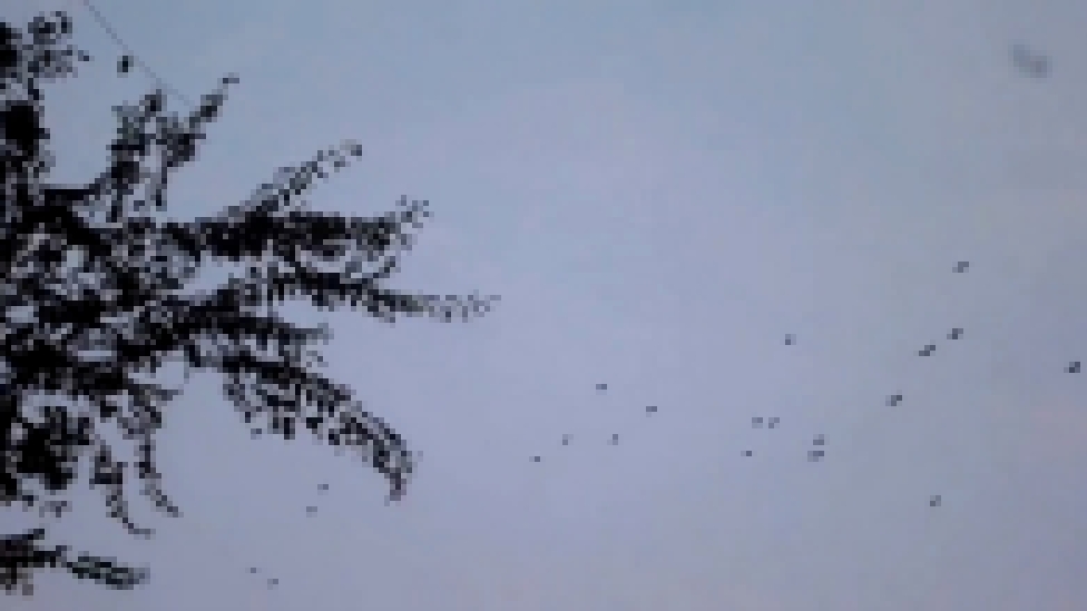 Видеоклип Вороны летят с работы Новый месяц Снег и сосульки 29 10 2014