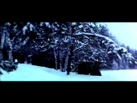 Видеоклип Александр Розенбаум   По снегу, летящему с неба