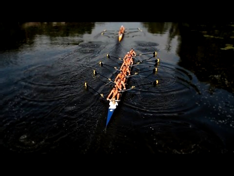 Rowing: It's Good For Your Brain