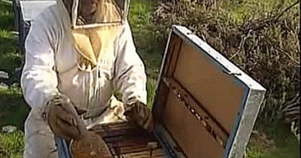 Видеоклип El polen y la miel Parte 1