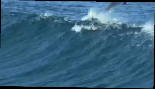 Видеоклип BBC: Живая природа: Думают ли дельфины ? (2003)
