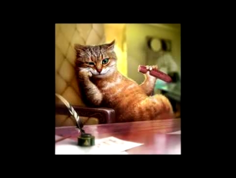 Видеоклип Терри Пратчетт - Кот без дураков - Кампания за подлинную кошачесть (аудиокнига)