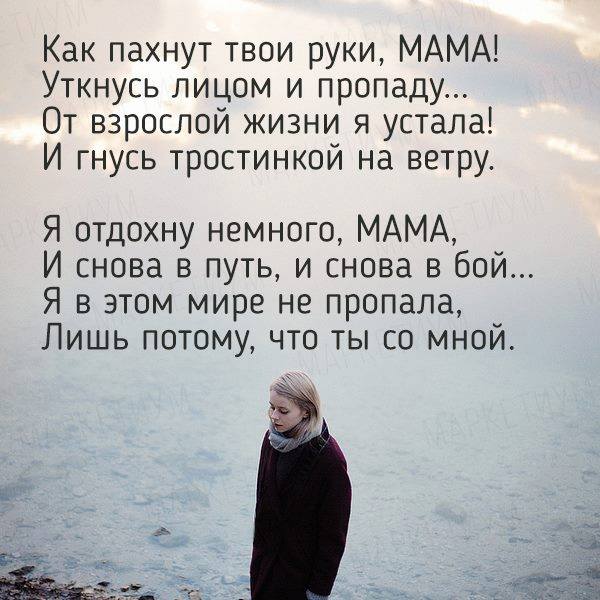 Папа мама ты и я | Асель Татаева