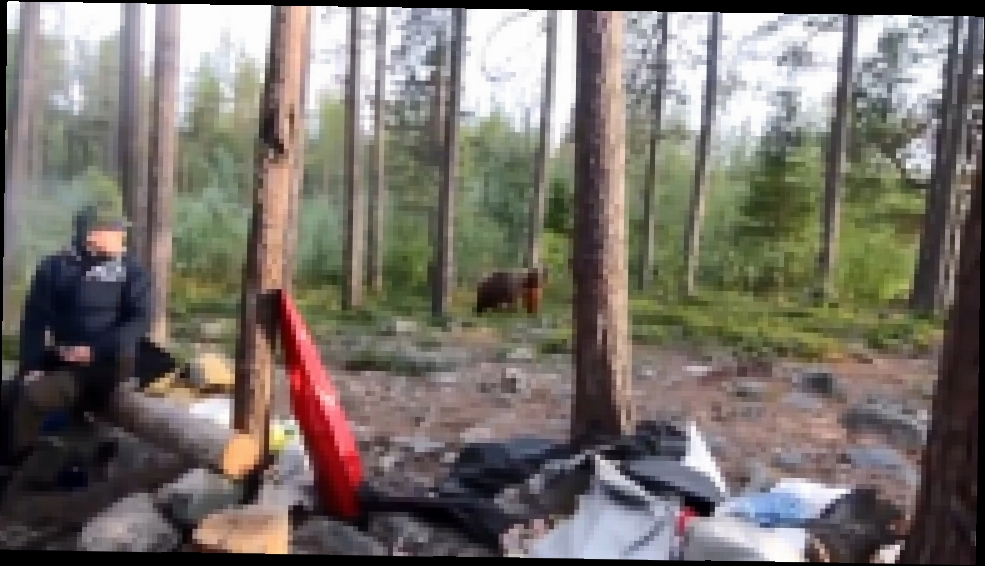 Видеоклип Мурманск. Отпугнули медведя песней (30.08.2015 г.)