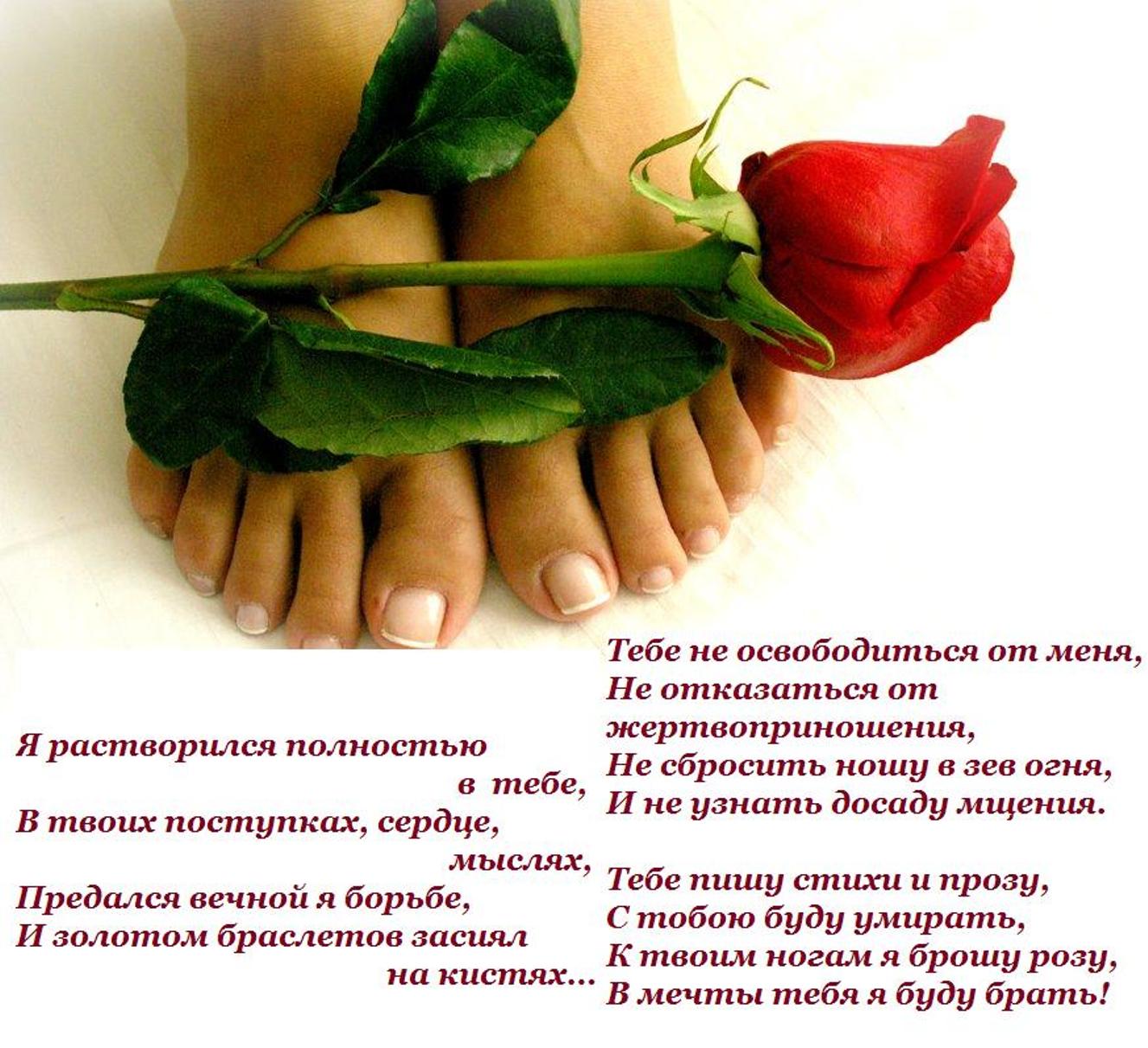 Целует ноги красивой. Цветы к ногам женщины. Розы у ног женщины. Цветы к ногам любимой.