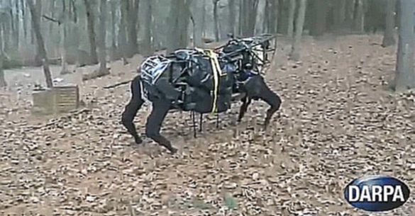 Видеоклип Пентагон получил первого робота мула 
