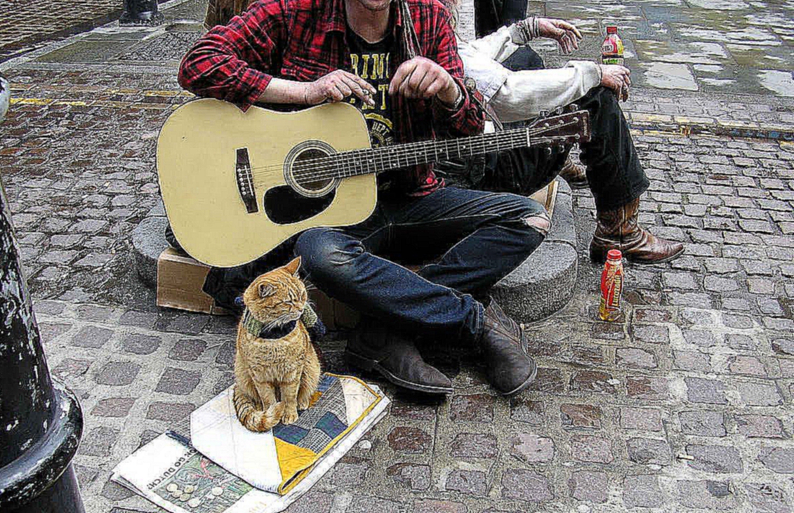 Как бездомные музыкант и кот изменили жизнь друг